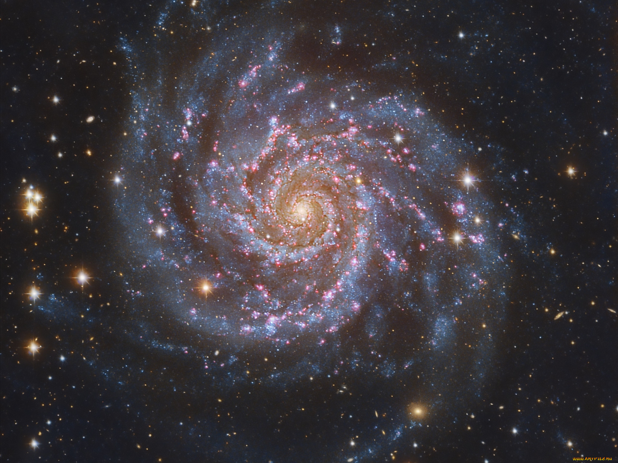 m74, , , 